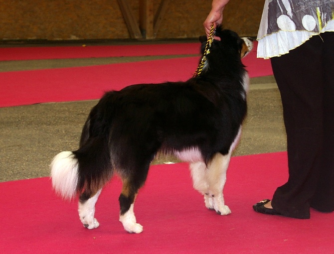 De l'étang de pincemaille - lors de la NE 2015