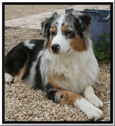 Constance dite couady De l'étang de pincemaille